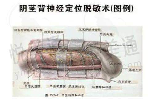 天津御芝堂医疗美容医院口碑评价怎么样