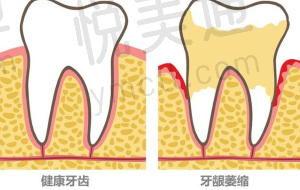 收费价目表