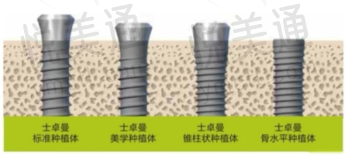 在盐城排名情况