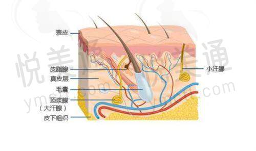 烟台平平美容诊所和医疗美容诊所靠谱吗？从多方面了解成立时间、项目、设备、团队、口碑及价格情况