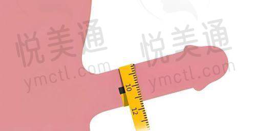 多项目服务内容