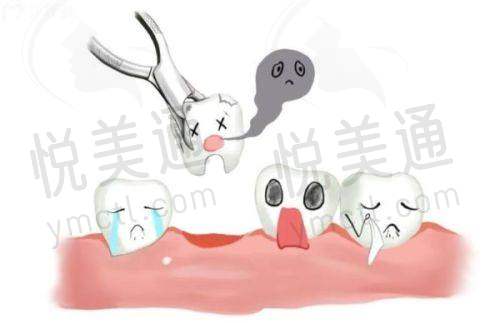 业内排名情况参考