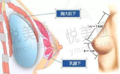 顾客评价与反馈
